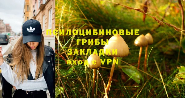 ECSTASY Белокуриха