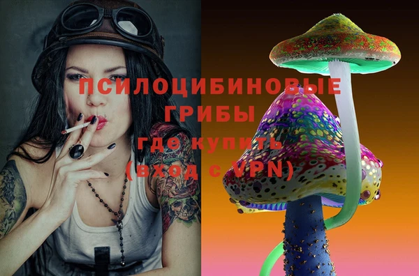 ECSTASY Белокуриха
